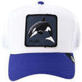 Chapeaux sur Grenoble : Chapeau enfant Goorin Bros Cappello