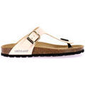 Mules Grunland CC-0061-40-SARA-PESCA Grenoble