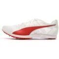 Baskets basses Puma Evospeed