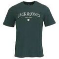 Tee-shirts sur Grenoble : T-shirt Jack & Jones TEE SHIRT JPRBLUMILLEN TEE SS CREW - GREEN GABLES - L