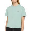 Tee-shirts sur Grenoble : T-shirt Dickies Aitkin 971