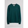 Pull sur Grenoble : Pull Teddy Smith Pull PULSER 3 Dark Emerald Chine