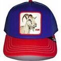 Chapeaux sur Grenoble : Chapeau Goorin Bros 101-2639 HIM-BLUE RED