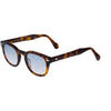 Lunettes de soleil Xlab 8004 style moscot Lunettes de soleil, Havana fonc&egrave;/Bleu cla