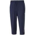 Short Puma Train Grenoble