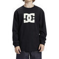Tee-shirts sur Grenoble : T-shirt DC Shoes DC Star Hls
