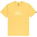 Tee-shirts sur Grenoble : T-shirt Quiksilver Ev Comp Logo