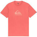 Tee-shirts sur Grenoble : T-shirt Quiksilver Ev Comp Logo