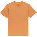 Tee-shirts sur Grenoble : T-shirt Quiksilver Ev Comp Logo
