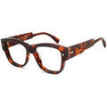 Lunettes sur Grenoble : Lunettes de soleil Xlab LUZON PHOTOCHROMIQUE Cadres Optiques, Havana/Violet, 56 mm