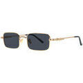 Lunettes sur Grenoble : Lunettes de soleil Xlab KAPITI Lunettes de soleil, Or/Fum&eacute;e, 53 mm Dor&eacute;
