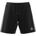 Short adidas GQ1038
