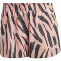 Short adidas HB9336