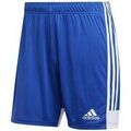 Short adidas DP3682
