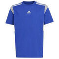 Tee-shirts enfants sur Grenoble : T-shirt enfant adidas TEE SHIRT B T CB - SELUBL - 13/14 ans