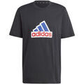 Tee-shirts sur Grenoble : T-shirt adidas Future Icons Badge of Sport