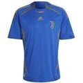 Tee-shirts sur Grenoble : T-shirt adidas Teamgeist