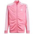 Veste adidas IN8476 Grenoble