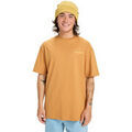 Tee-shirts sur Grenoble : T-shirt Quiksilver Pto Sun Flow