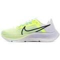Running sur Grenoble : Chaussures Nike Pegasus