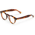 Lunettes sur Grenoble : Lunettes de soleil Xlab HOKKAIDO PHOTOCROMATIQUE Cadres Optiques, Havana fonc&egrave;/Marr