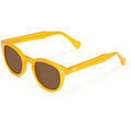 Lunettes sur Grenoble : Lunettes de soleil Xlab 8004 style moscot Lunettes de soleil, Jaune/Marron, 48 mm