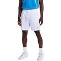 Short Nike Mesh Dri-FIT Grenoble