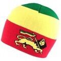 Bonnet Nyls Cr&eacute;ation Bonnet Homme multicolor