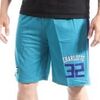 Short Sport Zone Charlotte Hornets