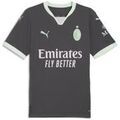 Tee-shirts sur Grenoble : T-shirt Puma AC Milan Third 2024/2025