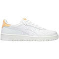 Running sur Grenoble : Chaussures Asics Japan