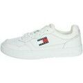 Baskets montantes Tommy Hilfiger EM0EM01443