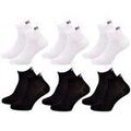 Chaussettes Roxy Chaussettes QUARTER Pack de 6 Paires 333462