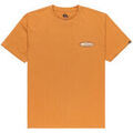 Tee-shirts sur Grenoble : T-shirt Quiksilver Evo Border Lines