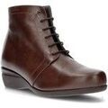 Bottes femme sur Grenoble : Bottines Dtorres 899745 tabaco