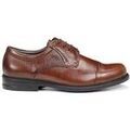 Chaussures de ville homme sur Grenoble : Richelieu Fluchos 8468 marron