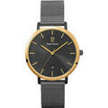Hommes sur Grenoble : Montre Pierre Lannier Montre Homme ECHO Gris Acier milanais Gris