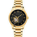 Hommes sur Grenoble : Montre Pierre Lannier Montre Homme FLEURET Noir Acier Dor&eacute; Noir