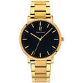 Hommes sur Grenoble : Montre Pierre Lannier Montre Homme ESSENTIAL Noir Acier Dor&eacute; Noir