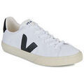 Baskets basses Veja CAMPO CANVAS Grenoble