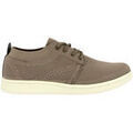 Ville basse Doctor Cutillas 34111 tostado