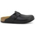 Mules homme sur Grenoble : Mules BIRKENSTOCK 060196-PE25