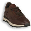 Baskets homme sur Grenoble : Baskets NeroGiardini NERO GIARDINI 412 DELAVATO BEIGE