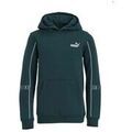 Vestes enfants sur Grenoble : Veste enfant Puma SWEATSHIRT ESS TAPE LAYOUT HOODIE FL B - GREEN TERRAIN - 128