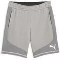 Short Puma Evostripe Shorts 8 Grenoble