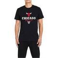 Tee-shirts sur Grenoble : T-shirt New-Era 12487539
