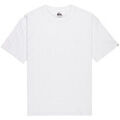 Tee-shirts sur Grenoble : T-shirt Quiksilver Salt Water