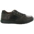 Baskets homme sur Grenoble : Baskets basses Mephisto LISANDRO