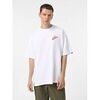 T-shirt Vans VN000K42 BRUSH SCRIPT-KSF1 WHITE