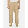 Jeans/Pantalons sur Grenoble : Pantalon Dickies JOHNSON CARGO DK0A4YF-2DS DESERT SAND